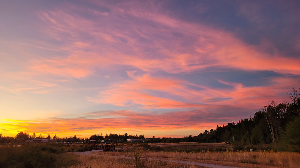 Beautiful sunset at a park