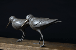 Bronze called 'Oyster Catcher Duo' by Stephen Rew