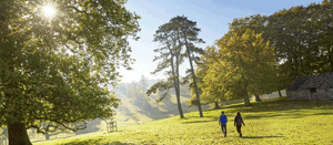 Photograph of a couple on a wooded walk