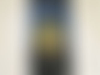 🌸3/29交流文化祭に出演します🌸