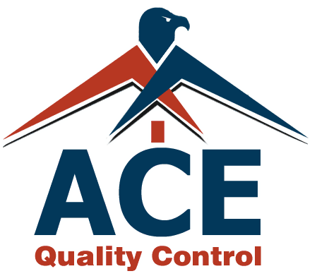 ACE-Web-Logo-1.gif