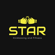 vi.starkickboxingandfitness.com