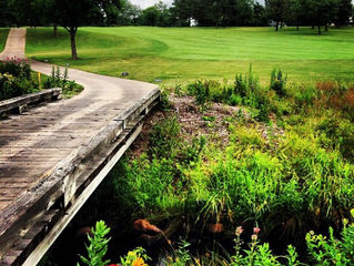 Let's Golf More!