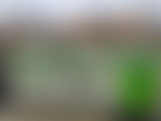 Hora da Casa Comum | 25 novembro