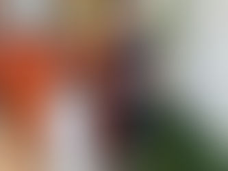 Eco-Escolas • Clube UBUNTU • “Geografia em ação”