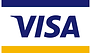Visa payment logo