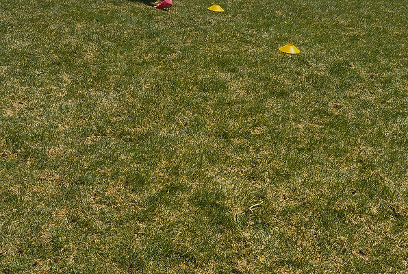 Dedicated youth soccer player training one-on-one with a certified coach from DABSoccer Academy during a high-performance session focused on footwork, positioning, and tactical awareness. Personalized soccer coaching in Colorado Springs, Pueblo, Fountain, Peyton, and Air Force Academy areas for athletes preparing for tryouts, competitive leagues, and next-level development