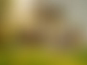 Vani Elite Homes Lucknow ready-to-move 2BHK near Amity University & Sultanpur Road, LDA RERA approved affordable homes, compare with Shalimar Eldeco Paarth Ansal