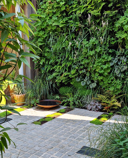 A living wall in a shady courtyard, Epsom