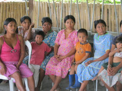 WERA, APOYO PARA LA PARTICIPACIÓN