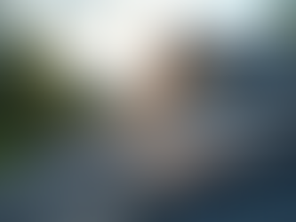 Top Roof Replacement Options for Your Home