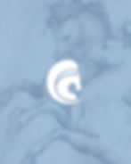 Chariot_Cover