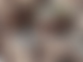 Rhopalomeris carnifex pill millipedes