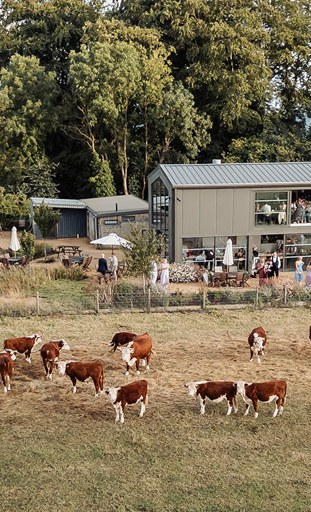 Set de jucarii cu 4 forme Forest - Lilliputiens Set de jucarii cu 4 forme Forest - Lilliputiens