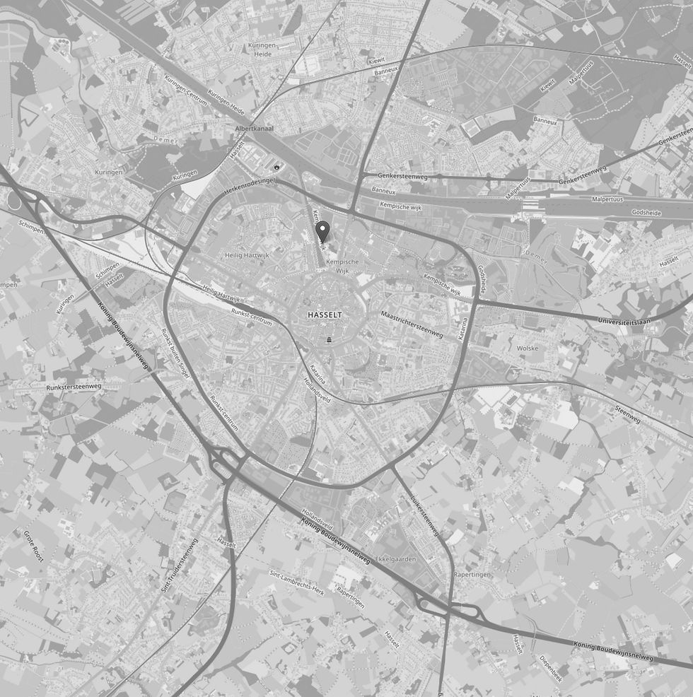 Map_of_Hasselt.jpg