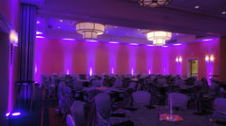 Desi Pakistani DJ Zee