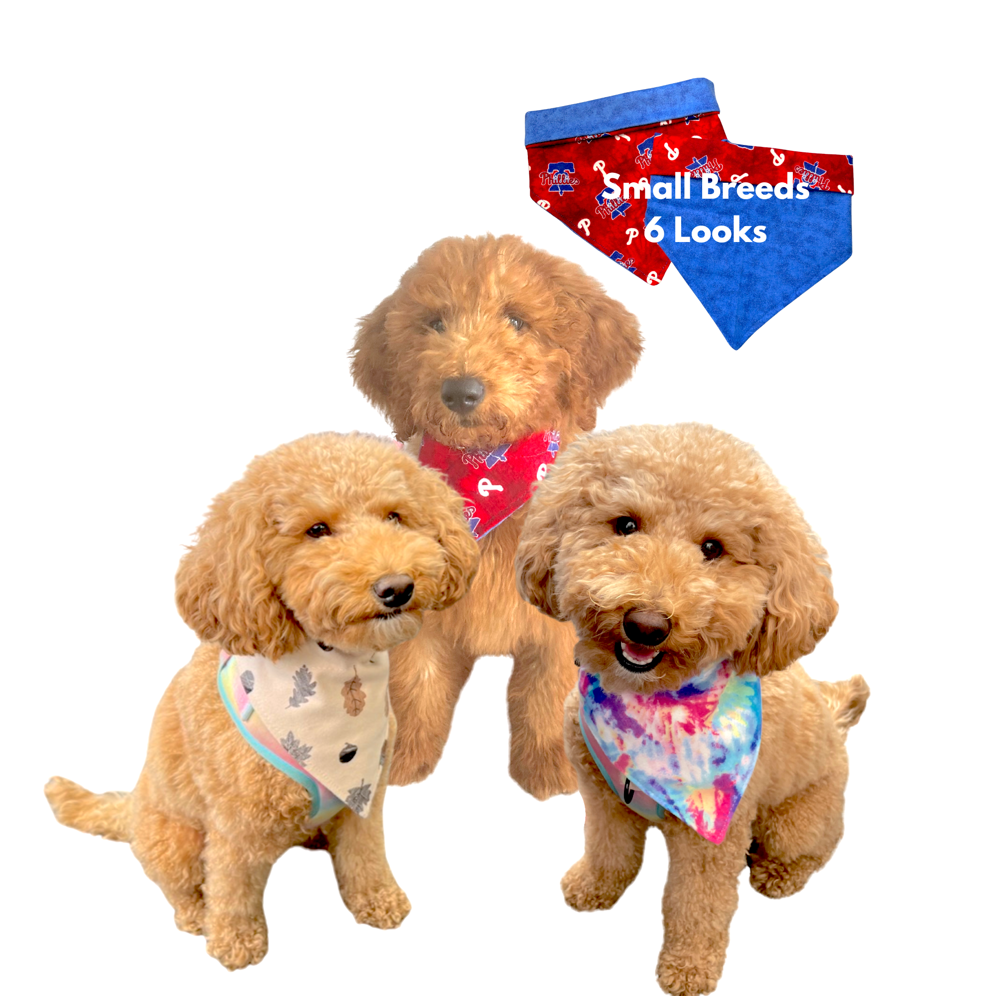 Curated Seasonal Collection Extra Small Over-the-Collar Dog Bandanas