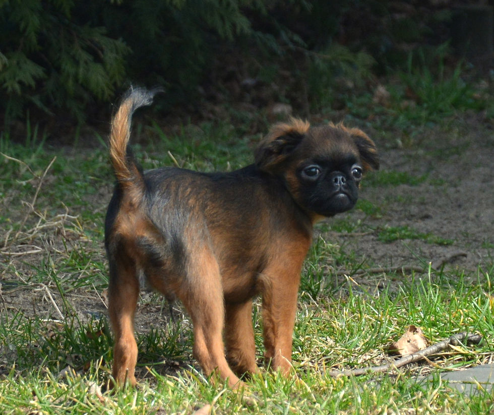 DSC_0321.JPG