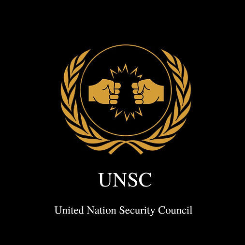 UNSC.jpg