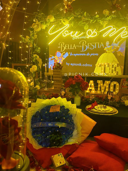 Cena romántica temática  de la Bella y la Bestia en Tlalpan CDMX con cine privado y burbuja iluminada, ideal para aniversario o propuesta de matrimonio.