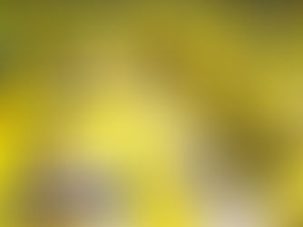 BBB25: Saiba quem foi a primeira dupla que venceu a prova de resistência