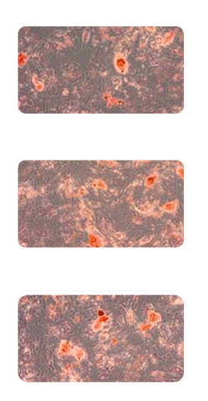 Depliant Q-touchadv-14.png
