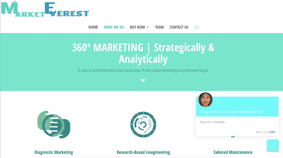WEBSITE I