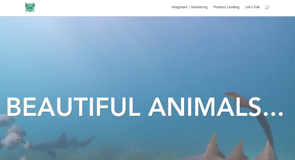 WEBSITE III