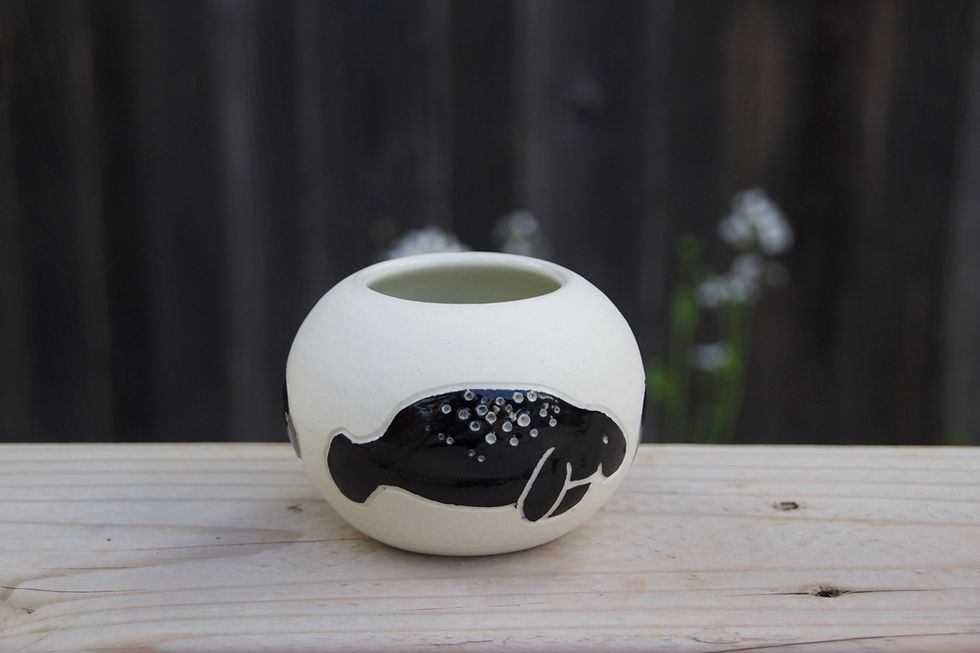 Manatee Pot