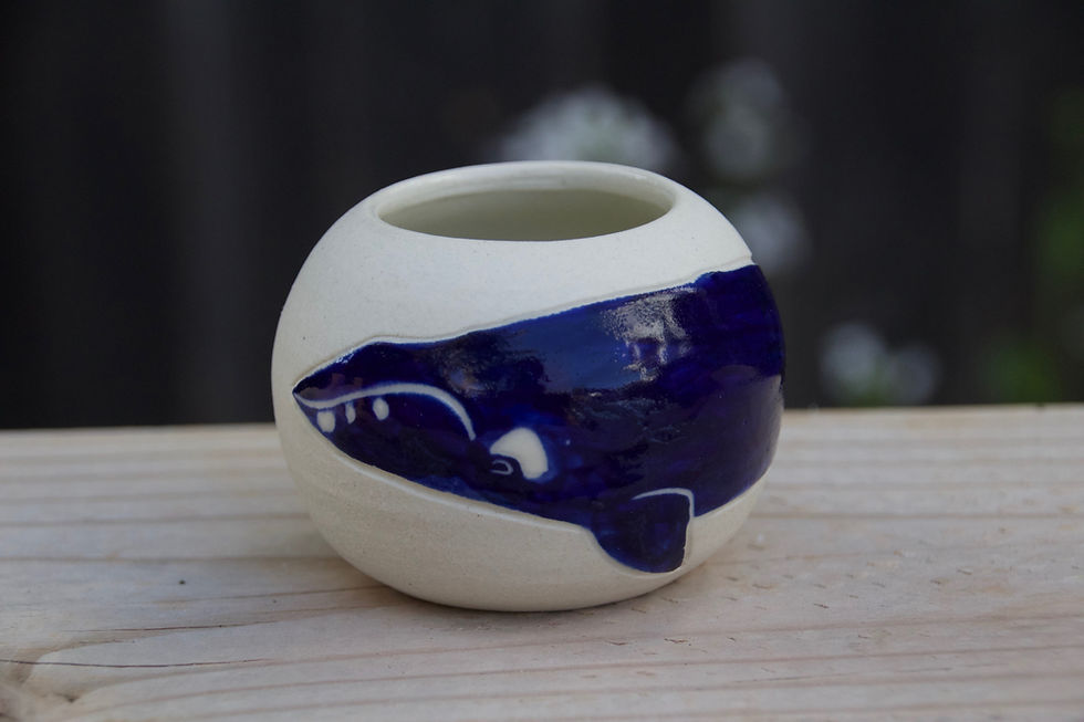 Baleen Whale Pot