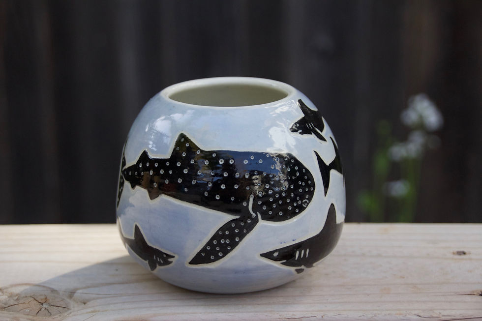 Endangered Shark Pot
