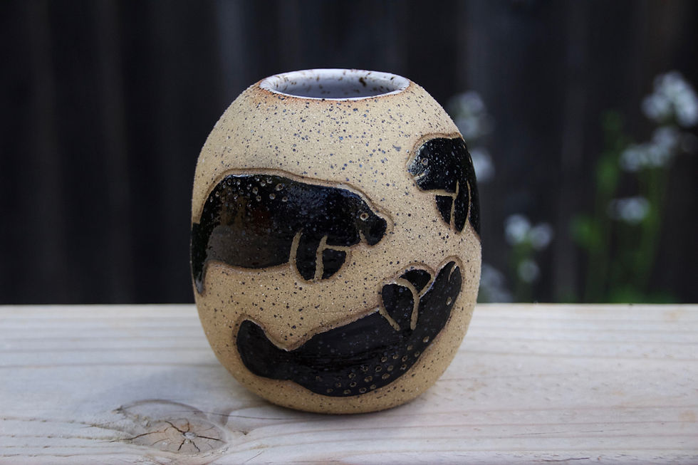 Manatee Pot