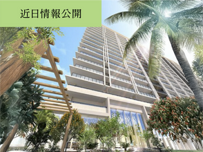 JAPAVISTA Rizola OKINAWA