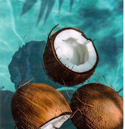 coco.jpg