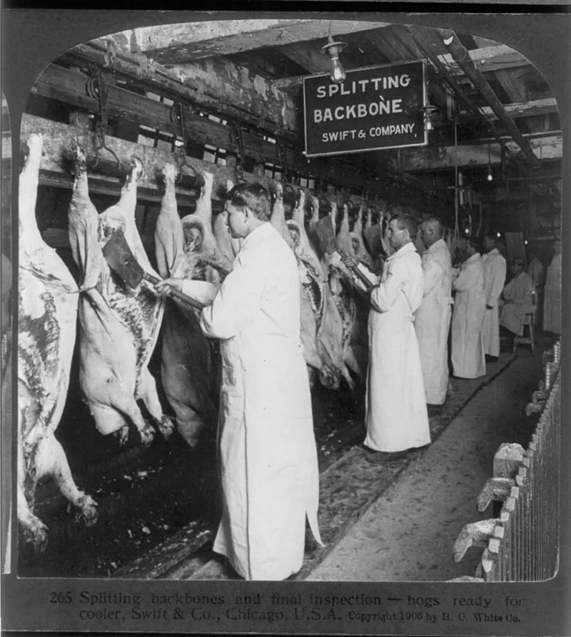 Chicago meat inspectors in early 1906. SOURCE: Wikimedia Commons (Public Domain).