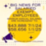 Purple text on yellow background