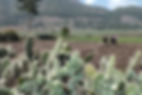 Landschaft Äthiopien