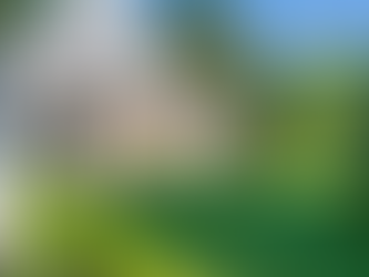 The Perks of Buying over Renting