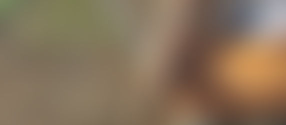 A Good Problem to Have {Week 6 CSA}