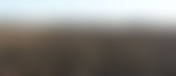 The Secret Life of Soil {Week 14 CSA}