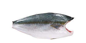 Folder IMPORT NEW 25 43.png