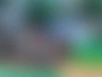 From Prestige to Pandemonium: Musclecontest Philippines 2025 Becomes a National Embarrassment