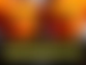 PrepLife: Your Ultimate Guide to the Bodybuilding Scene in the PH