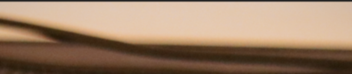 Screenshot 2022-09-24 at 13.40.54.png