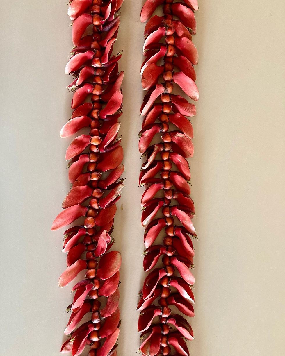 A beautifully crafted lei po'o made from coral tree flowers using the traditional kui method, displaying vibrant red hues and intricate design.