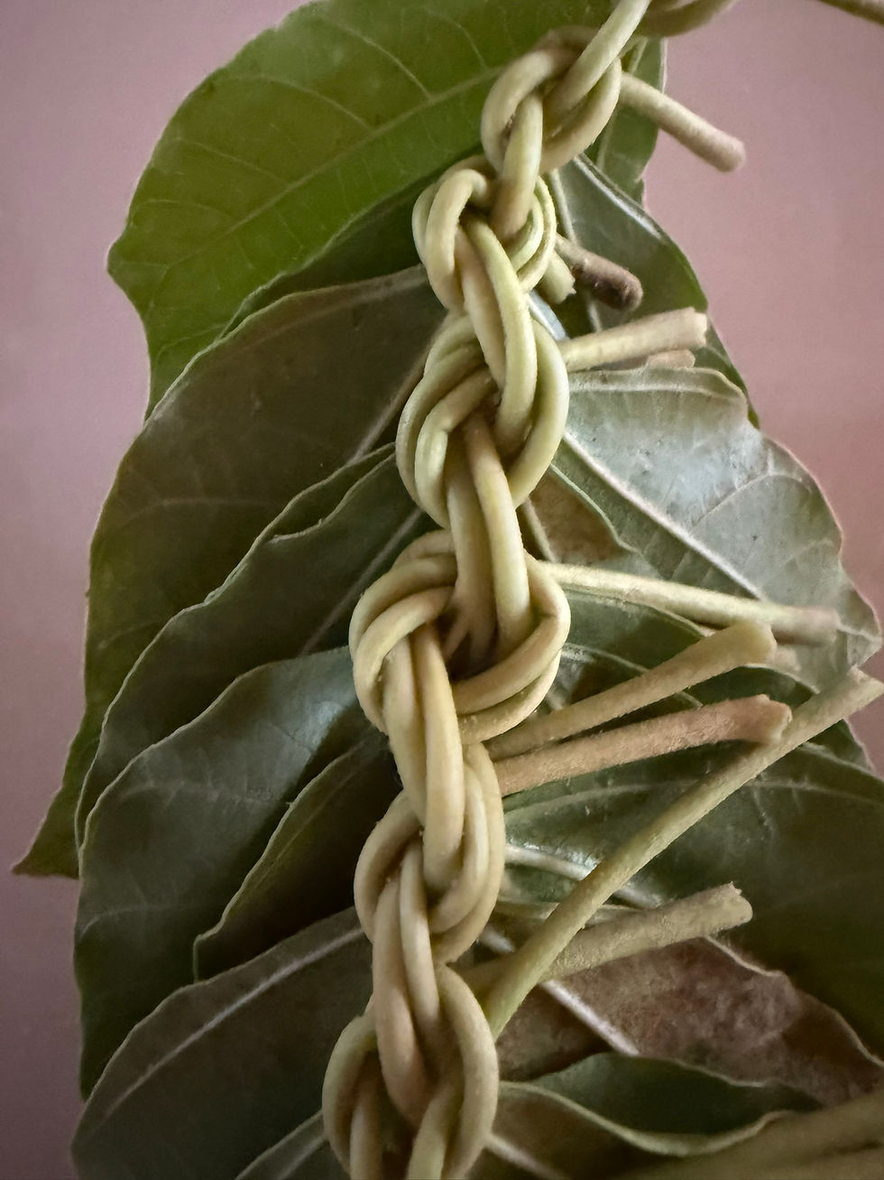 Open kukui lei / hīpuʻu style
