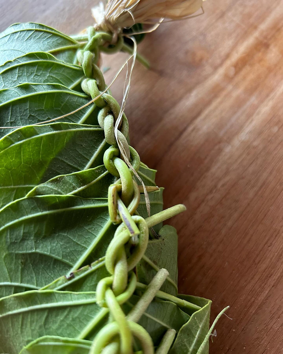 Close up of knotting style used to connect the kukui leaves.