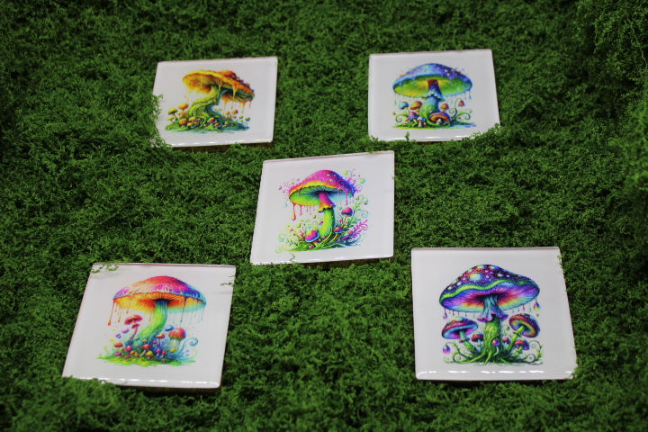 Set of 5 Mushroom Coasters