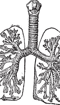 Respiratory package