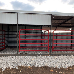Sheep and Goat Shelter
